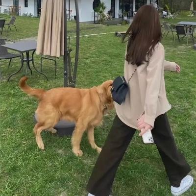 一个女孩的故事